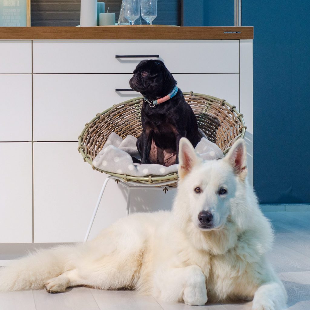 Bella und Isko (Coaches für Work-Life-Balance)